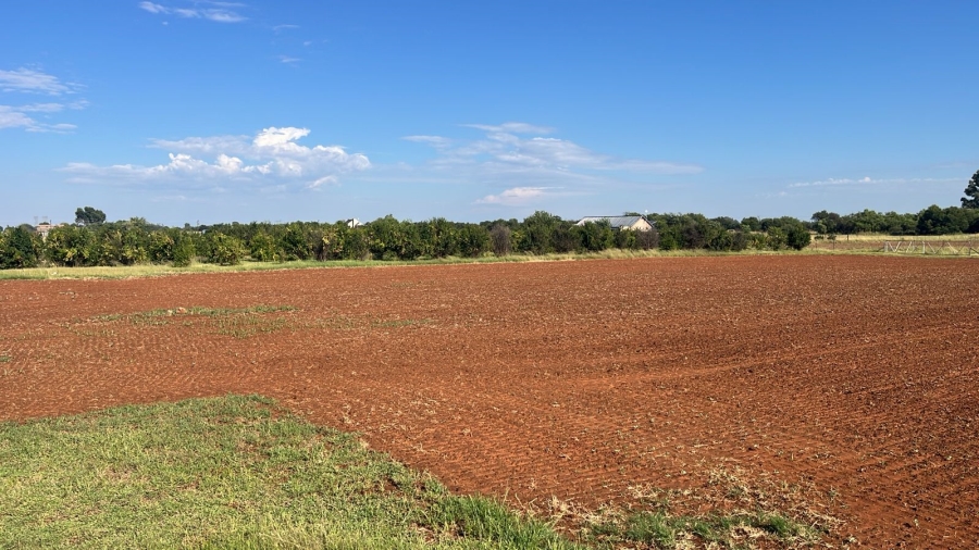 Commercial Property for Sale in Arcadia SH Free State